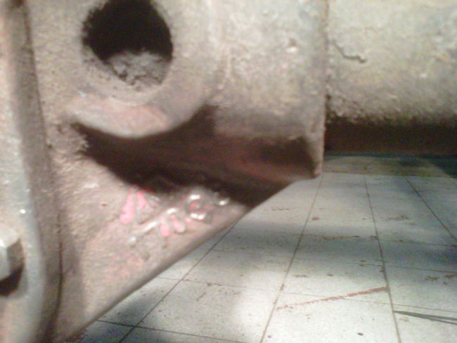 IMG00362-20110624-1506