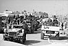 imageshack_us-24.jpg