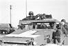 imageshack_us-4.jpg