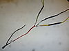 969_indicator_light_wiring_first_design.JPG