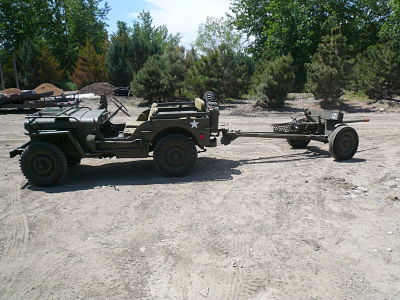 P1000819_opt