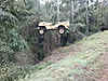 04_Sams_Jeep_flying.jpg