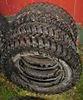 Dunlop_01.JPG