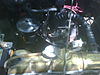 IMG00727-20110924-1259.jpg