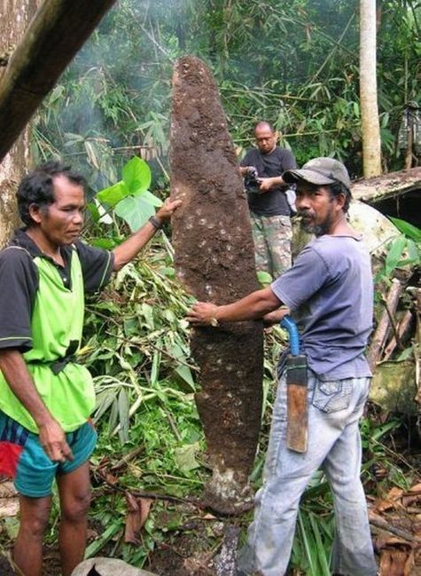 malay02