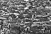 160ba75e2068b763_large1.jpg