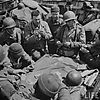 2c28b296606de8ba_large1.jpg