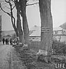 Malmedy_1945_4.jpg