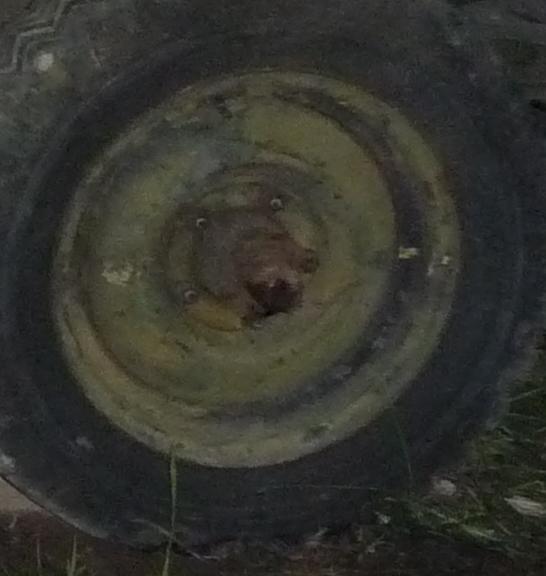 RT front wheel