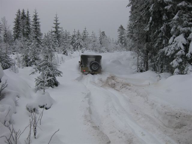 Finnskog_axland2012_012
