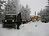 Finnskog_axland2012_009.jpg