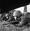 41948.jpg