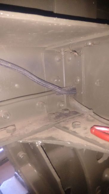 969_Wiring_Harness_fitting_into_Chassis_b
