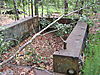 IMG_55331.JPG