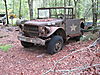 IMG_5539.JPG