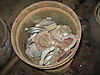 IMG_55471.JPG