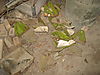 IMG_5548.JPG