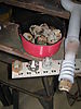 Picture_00818.jpg