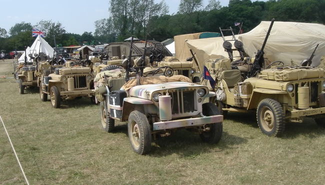 SAS1