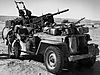 SAS-Jeep-w-cal-50.jpg