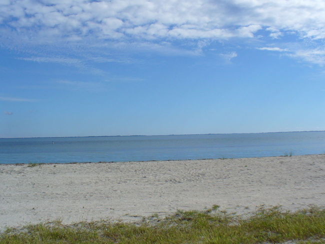View to the south