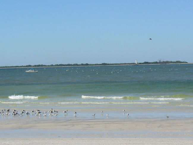 1,000 ft pier