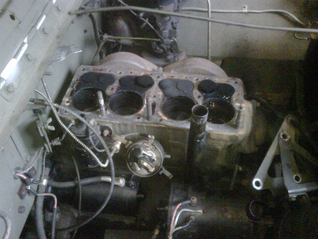 IMG00454-20090617-0836