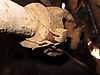IMG_28512.JPG
