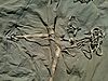 IMG_20120815_161559.jpg