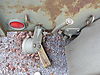 DSCN0135.JPG