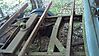 IMG_20130420_181636_366.jpg
