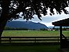 P6236128.JPG