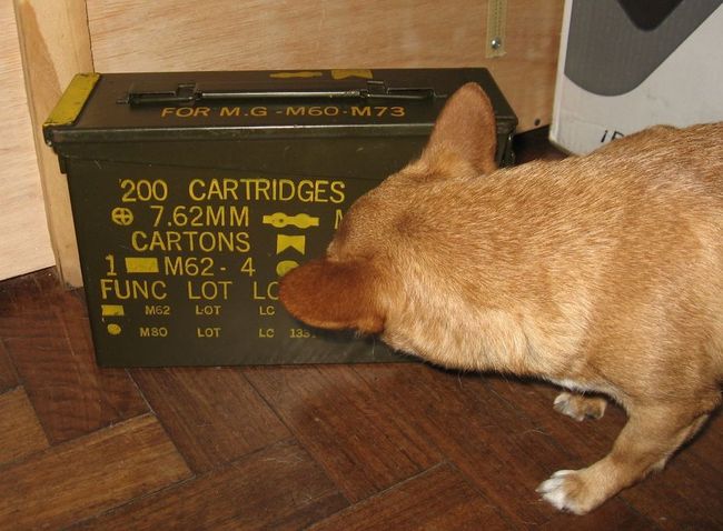 7.62 ammo can