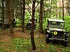 P62764371.JPG