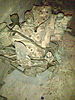 IMG-20130723-01505.jpg