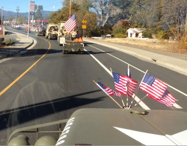 Vet Parade 11-9-2013