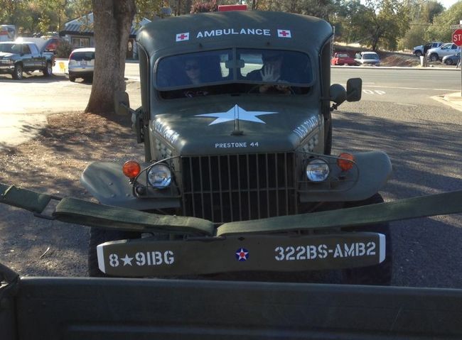 Vet Parade 11-9-2013