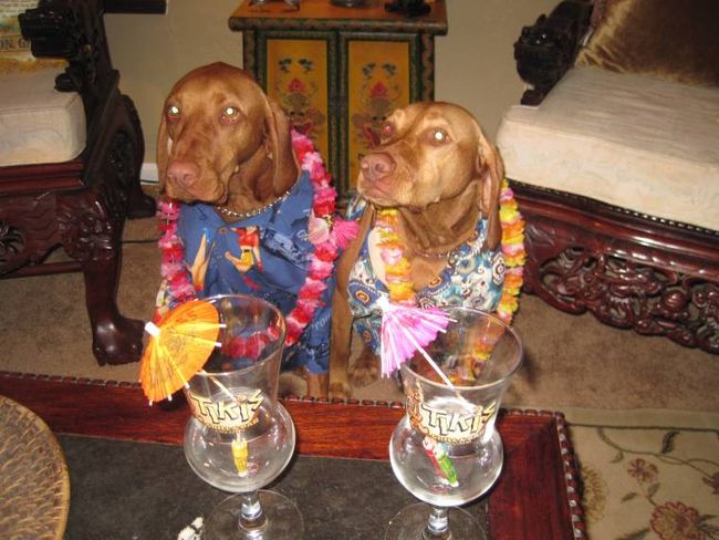 George and Gracie