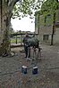3972.jpg