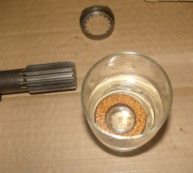SNV13651