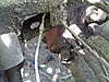 20190618_114806.jpg