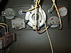 Dash_Harness_7_.JPG