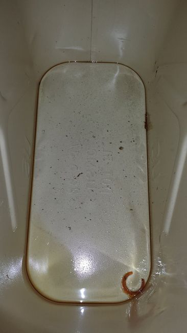 Gas_Can-3