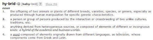 Hybrid definition