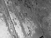 underside_m_38_031.jpg