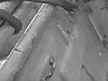 underside_m_38_034.jpg