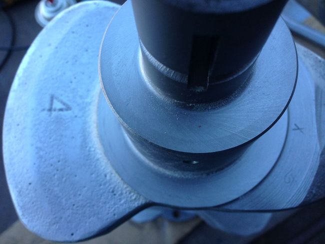 Alma's GPW #271894