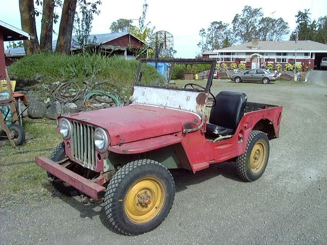 CJ2Apic1