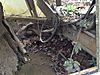 Douglas_s_iPod_5_171.JPG