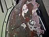 IMG-20120505-00050.jpg